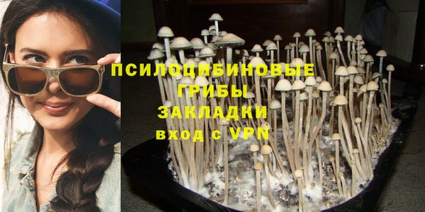 хмурый Козловка