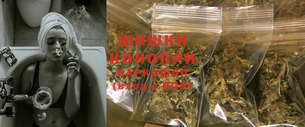 хмурый Козловка